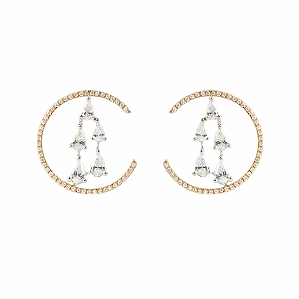 Elegant Sparkling Diamond Earring